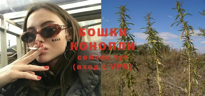 Конопля OG Kush  Мурино 